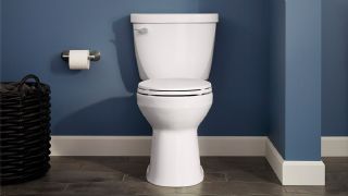 Kurtköy Tuvalet Tesisatı Tamiri Klozet Taşı Değişimi Tıkanıklık Açma