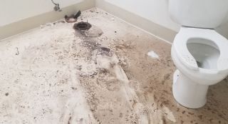 Pendik Şeyhli Tuvalet Tesisatı Tamiri Klozet Taşı Değişimi Tıkanıklık Açma